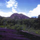 Central Suriname Nature Reserve