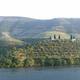 Alto Douro Wine Region