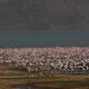 Kenya Lake System in the Great Rift Valley