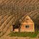 Tokaj Wine Region Historic Cultural Landscape