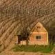 Tokaj Wine Region Historic Cultural Landscape