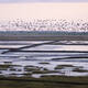 Wadden Sea