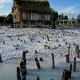 Prehistoric Pile Dwellings around the Alps