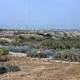 Baptism Site “Bethany Beyond the Jordan” (Al-Maghtas)
