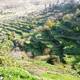 Palestine: Land of Olives and Vines – Cultural Landscape of Southern Jerusalem, Battir