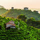 Le Colline del Prosecco di Conegliano e Valdobbiadene