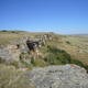 Head-Smashed-In Buffalo Jump