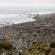 French Austral Lands and Seas