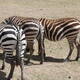 Ngorongoro Conservation Area