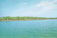 Sundarbans National Park