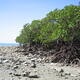 Wet Tropics of Queensland