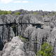 Tsingy de Bemaraha Strict Nature Reserve