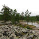 Bronze Age Burial Site of Sammallahdenmäki