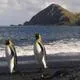 Macquarie Island