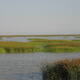 Doñana National Park