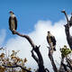 Everglades National Park