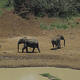 Mount Kenya National Park/Natural Forest