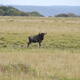 iSimangaliso Wetland Park