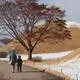 Gyeongju Historic Areas