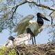 Pantanal Conservation Area